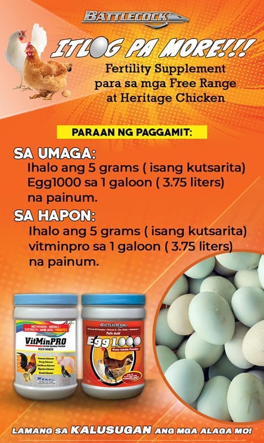 469494943_606513701721972_2958217954729764067_n