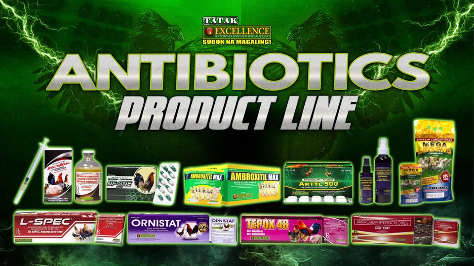 488008780_1331549504748216_5589355492281556217_n