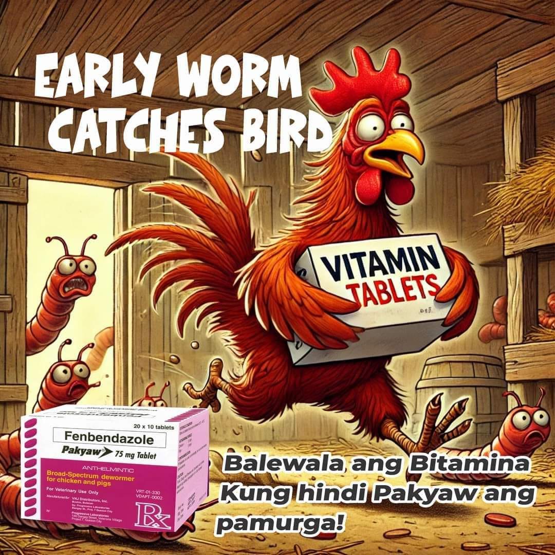 503907853_10045728565488610_7113662752422370673_n