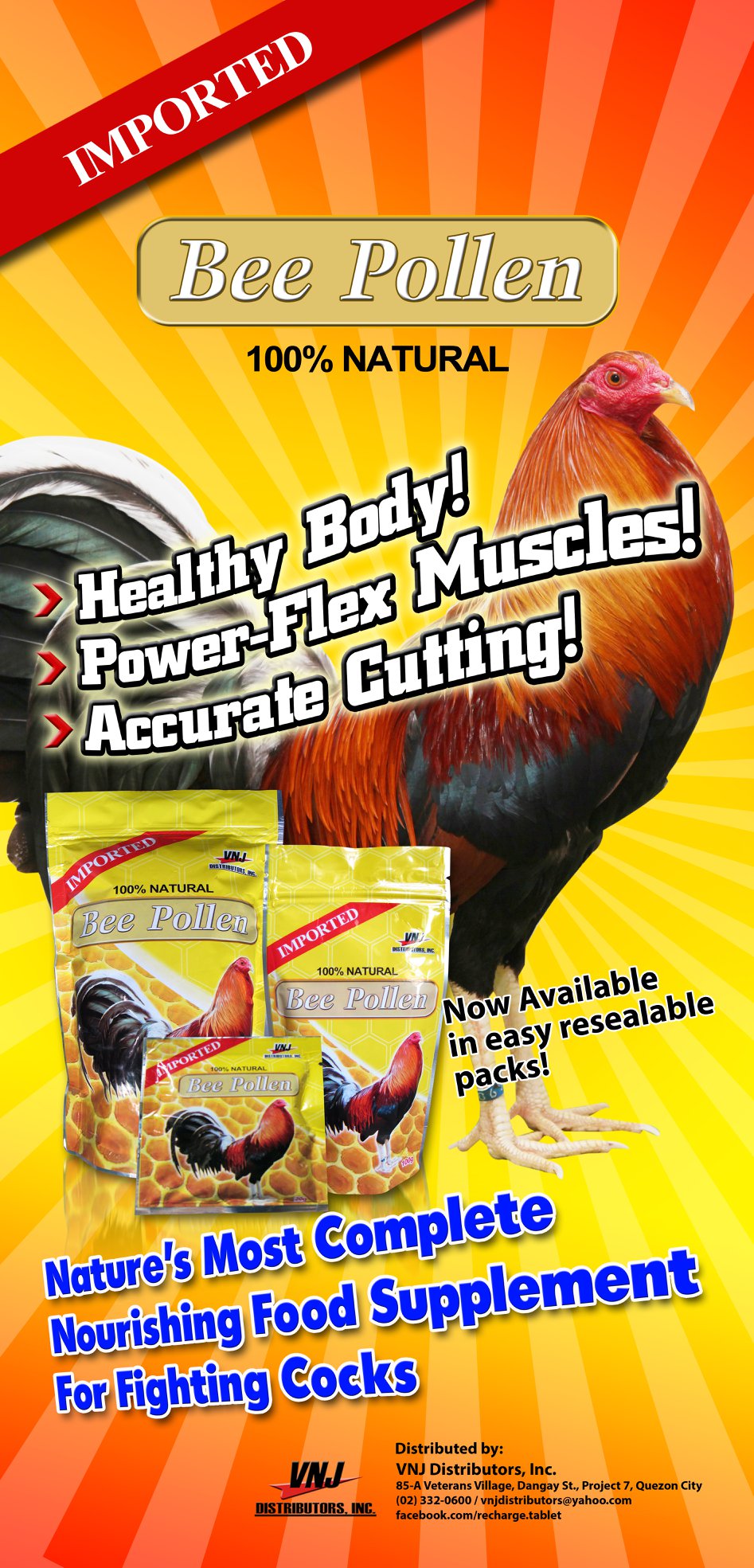 56595427_472604189945848_685741376196837376_n