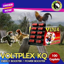 VOLTPLEX KQ ENERGY BOOSTER (100 Caplets)