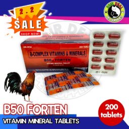 B50 Forten 200 tablets 1 box