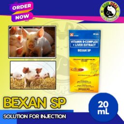 Bexan SP Vitamin B - Complex (20mL)