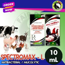 SPECTROMAX-L Antibacterial / Mucolytic(10ml)