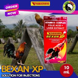 BEXAN XP B - Complex (10mL)