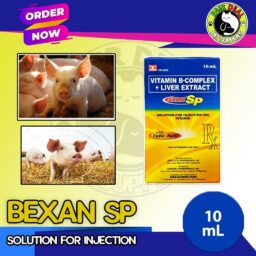 Bexan SP 10ml Vitamin B-Complex + Liver Extract