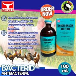 BACTERID Antibacterial (100 ml)