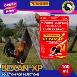 BEXAN XP B - Complex (100mL)