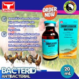 BACTERID Antibacterial (10ml)