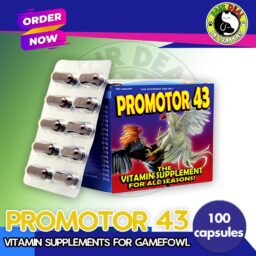 Promotor 43 100 capsules