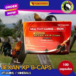 BEXAN XP B-CAPS Multivitamins + Iron (100 capsules)