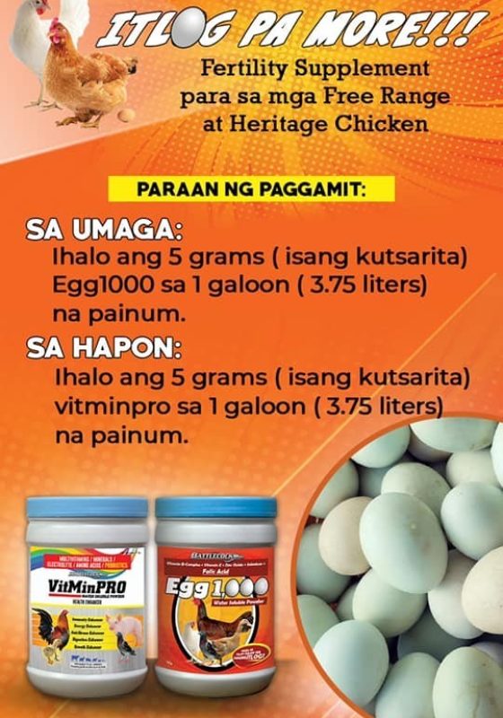 469494943_606513701721972_2958217954729764067_n