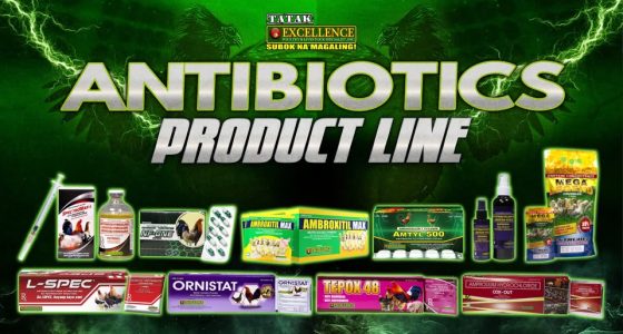 488008780_1331549504748216_5589355492281556217_n