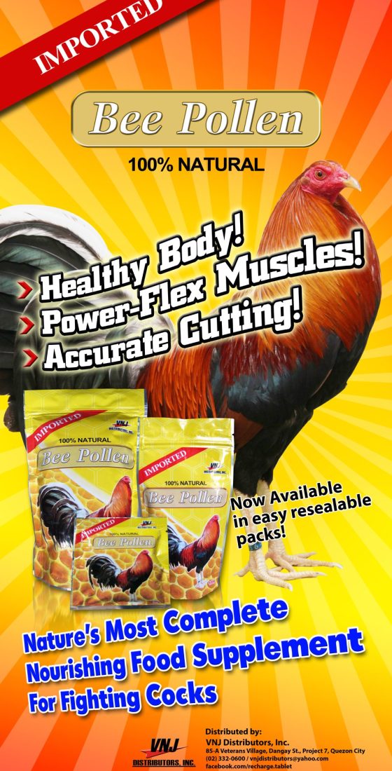 56595427_472604189945848_685741376196837376_n